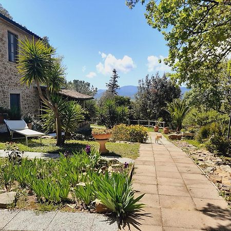 Agriturismo E Glamping Serraiola Alta Monterotondo  Екстер'єр фото
